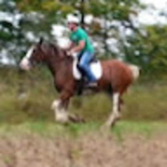 Meet your Posher, Wayne - Picture 1 of 4